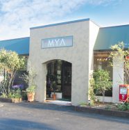 【6月・竜王店平日限定】 カット